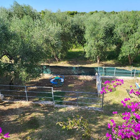 Residence Dolce Far Niente Βιέστε Εξωτερικό φωτογραφία