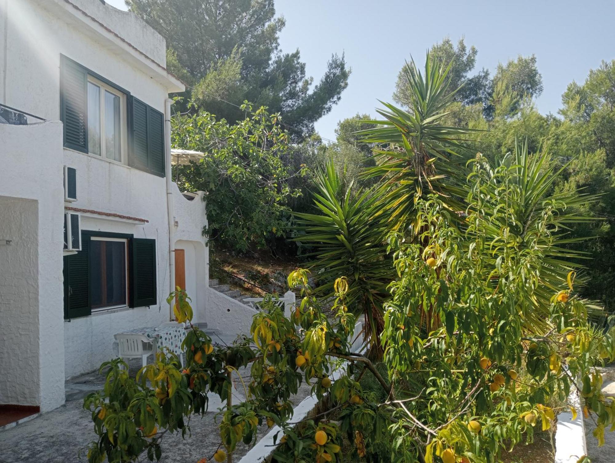 Residence Dolce Far Niente Βιέστε Εξωτερικό φωτογραφία