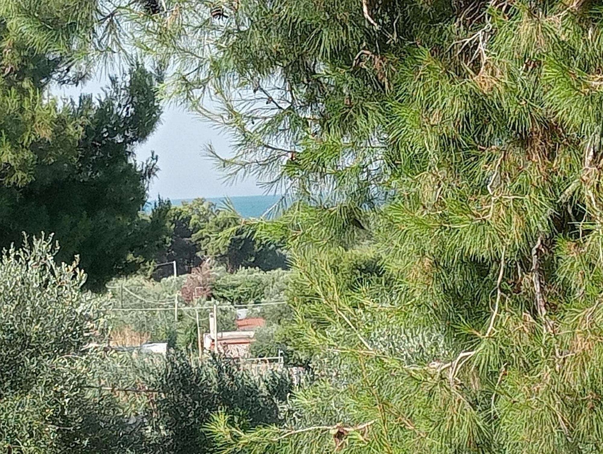 Residence Dolce Far Niente Βιέστε Εξωτερικό φωτογραφία