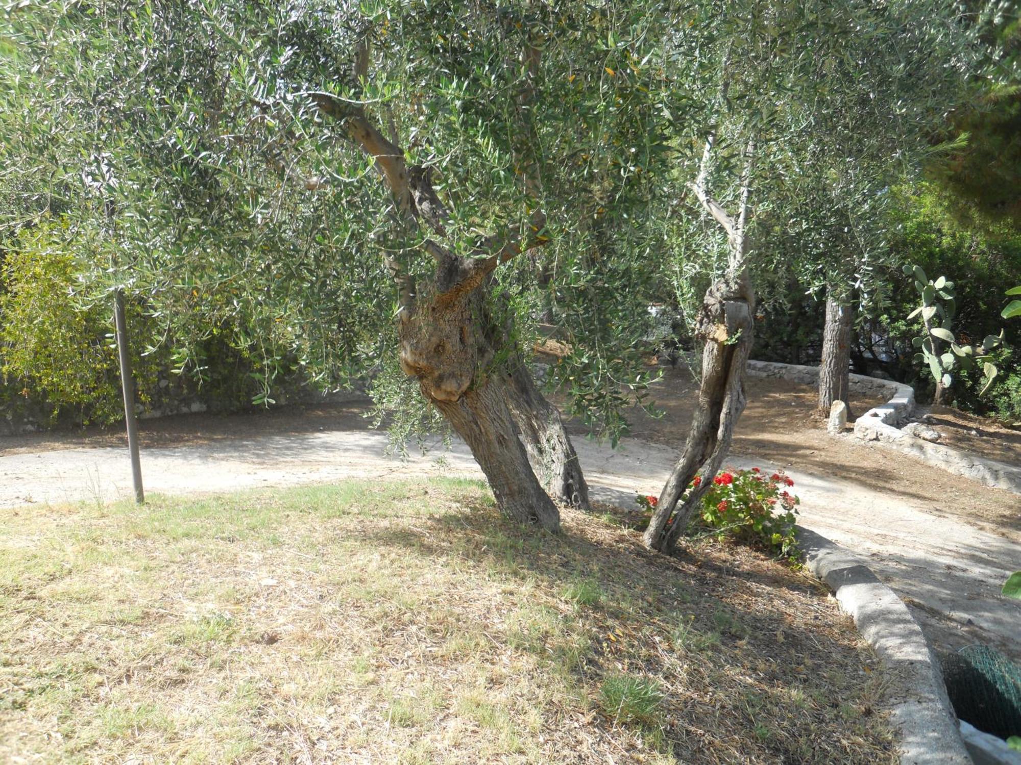 Residence Dolce Far Niente Βιέστε Εξωτερικό φωτογραφία
