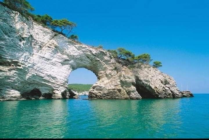 Residence Dolce Far Niente Βιέστε Εξωτερικό φωτογραφία