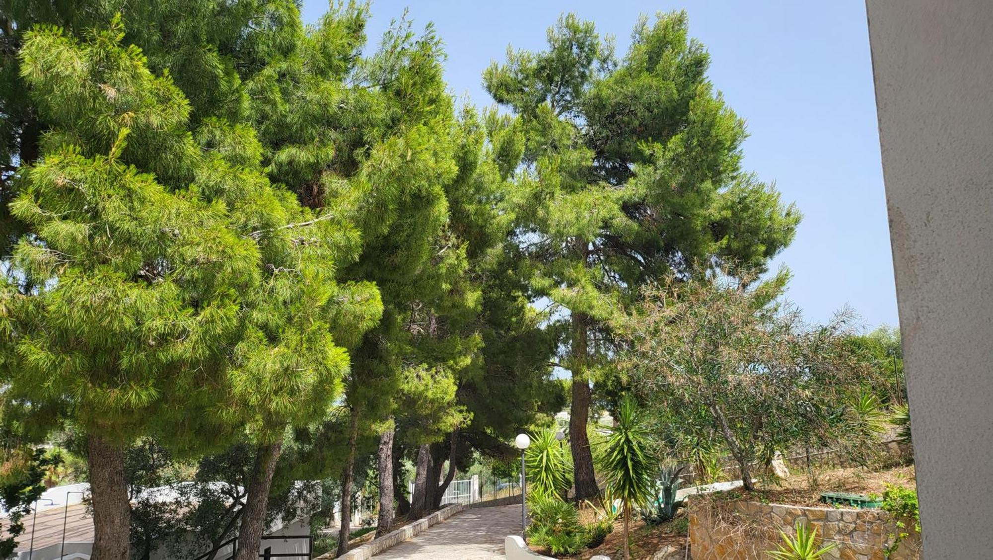Residence Dolce Far Niente Βιέστε Εξωτερικό φωτογραφία