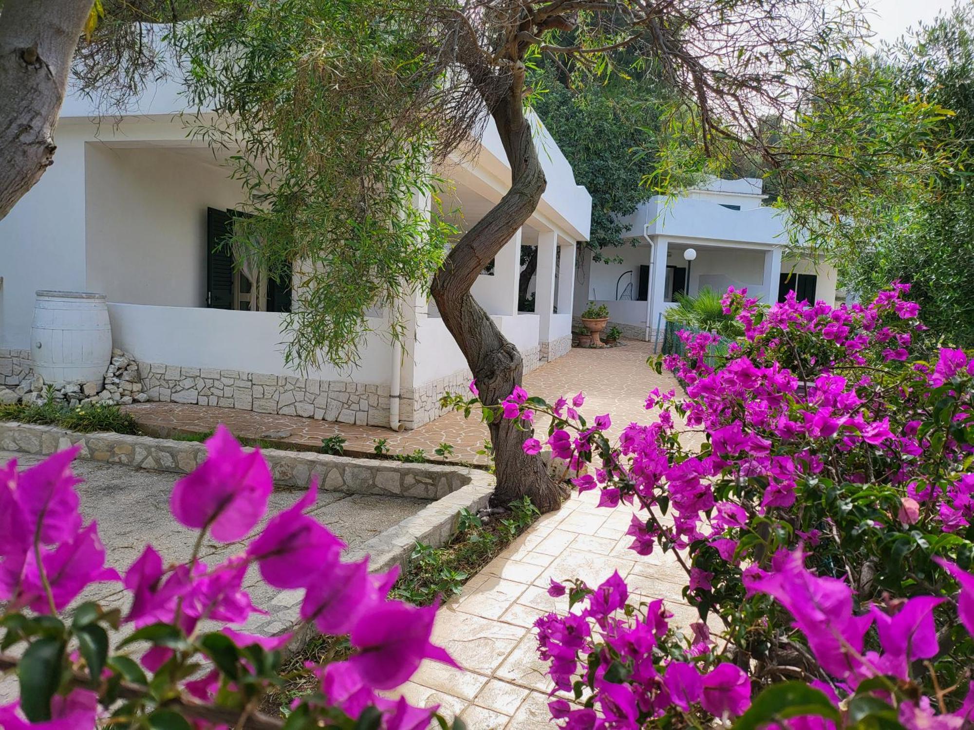 Residence Dolce Far Niente Βιέστε Εξωτερικό φωτογραφία