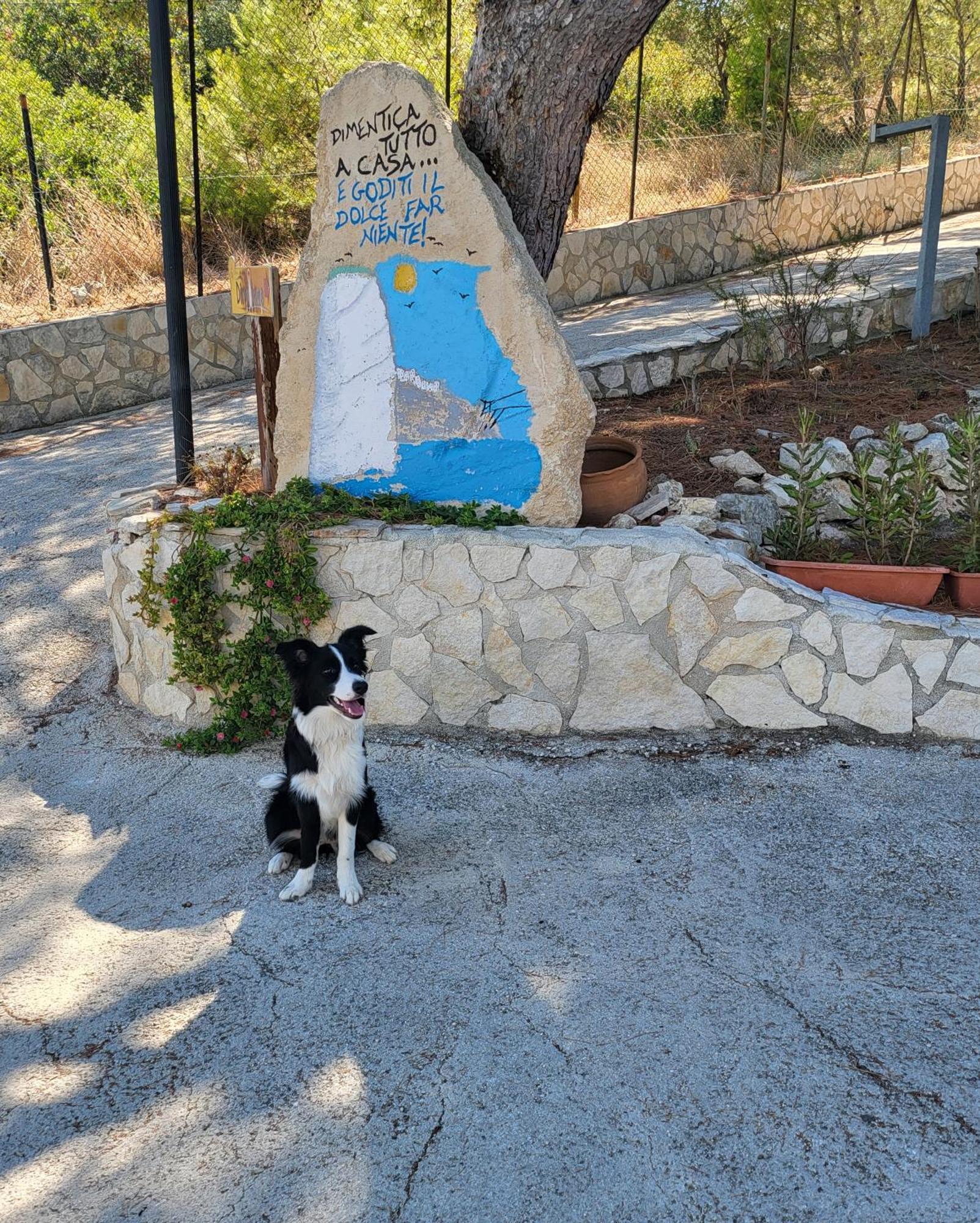 Residence Dolce Far Niente Βιέστε Εξωτερικό φωτογραφία