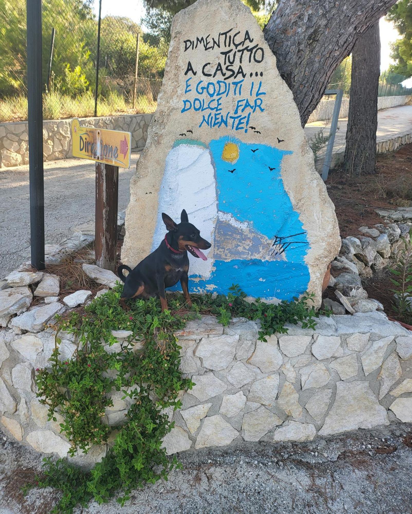 Residence Dolce Far Niente Βιέστε Εξωτερικό φωτογραφία